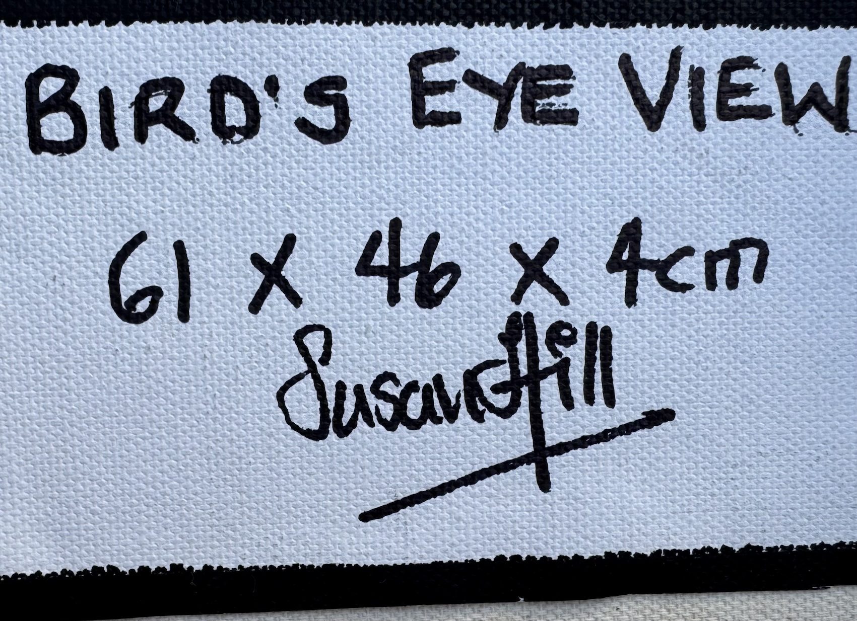 Birds Eye View sig size copy