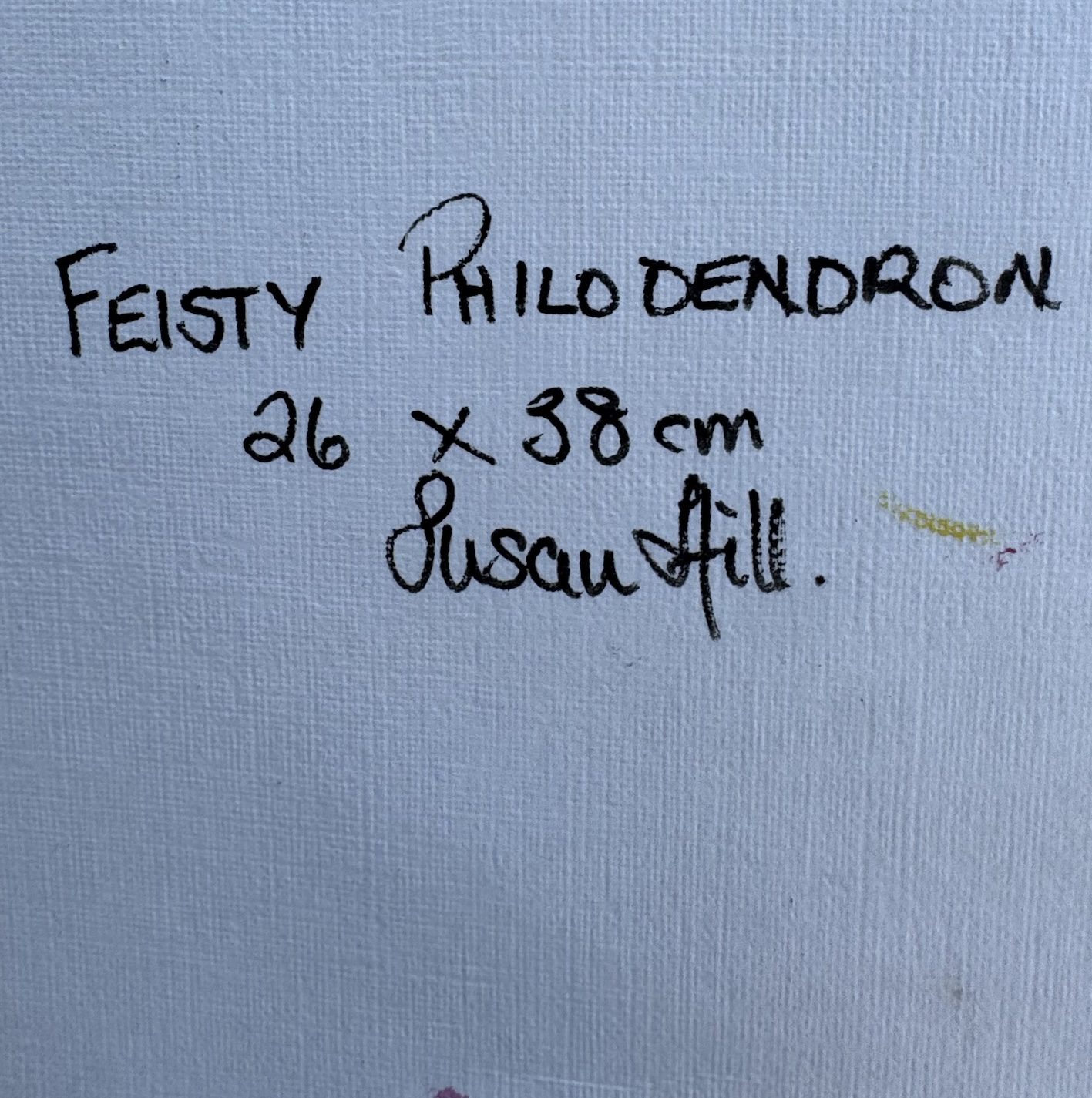 Fiesty Philodendron size sig